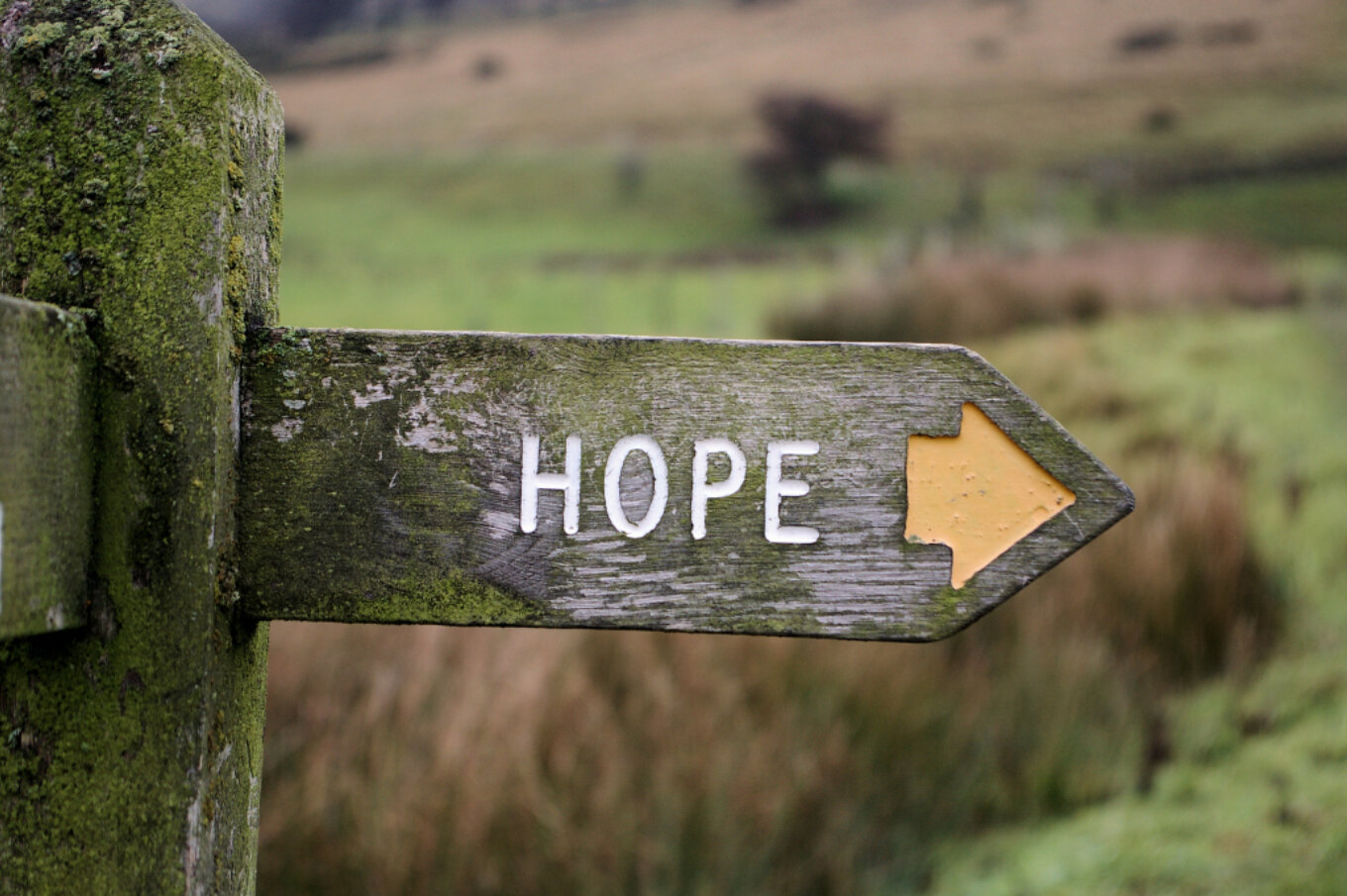 Hope sign post