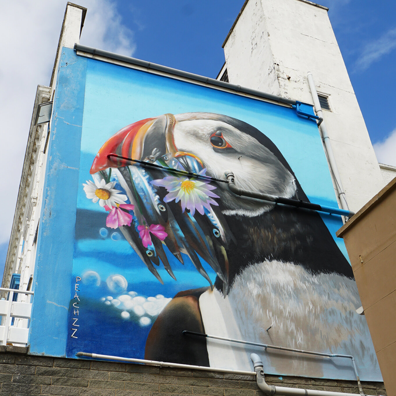 On the side of a building is painted a large puffin with fish in its mouth. The fish are adorned with flowers. The painting is bold and colourful.