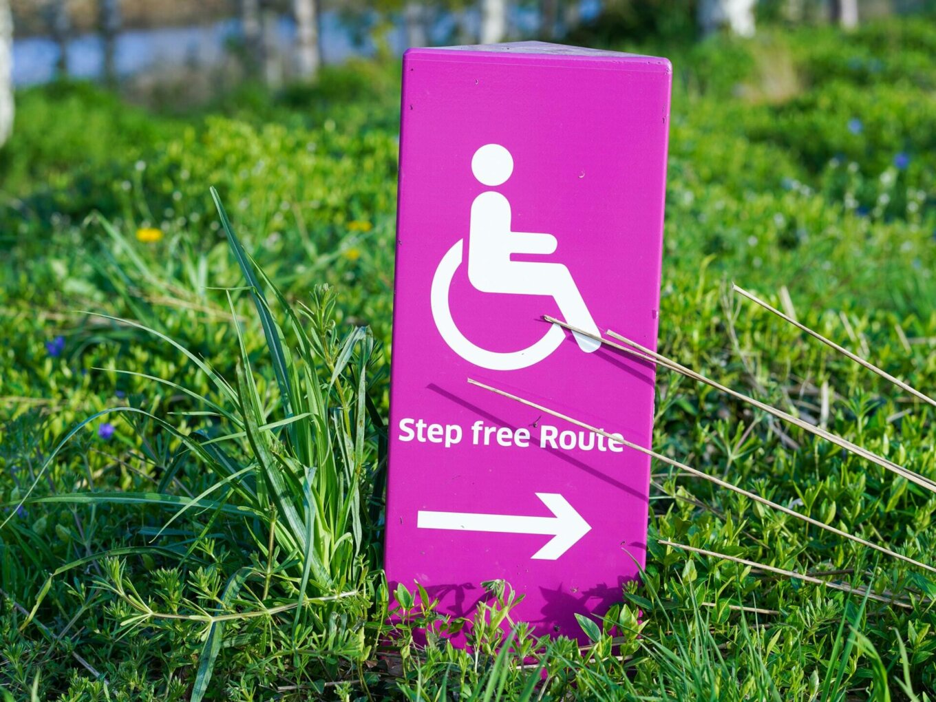 A pink sign on grass that says Step free route