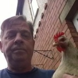 Brian Rooney and a chicken