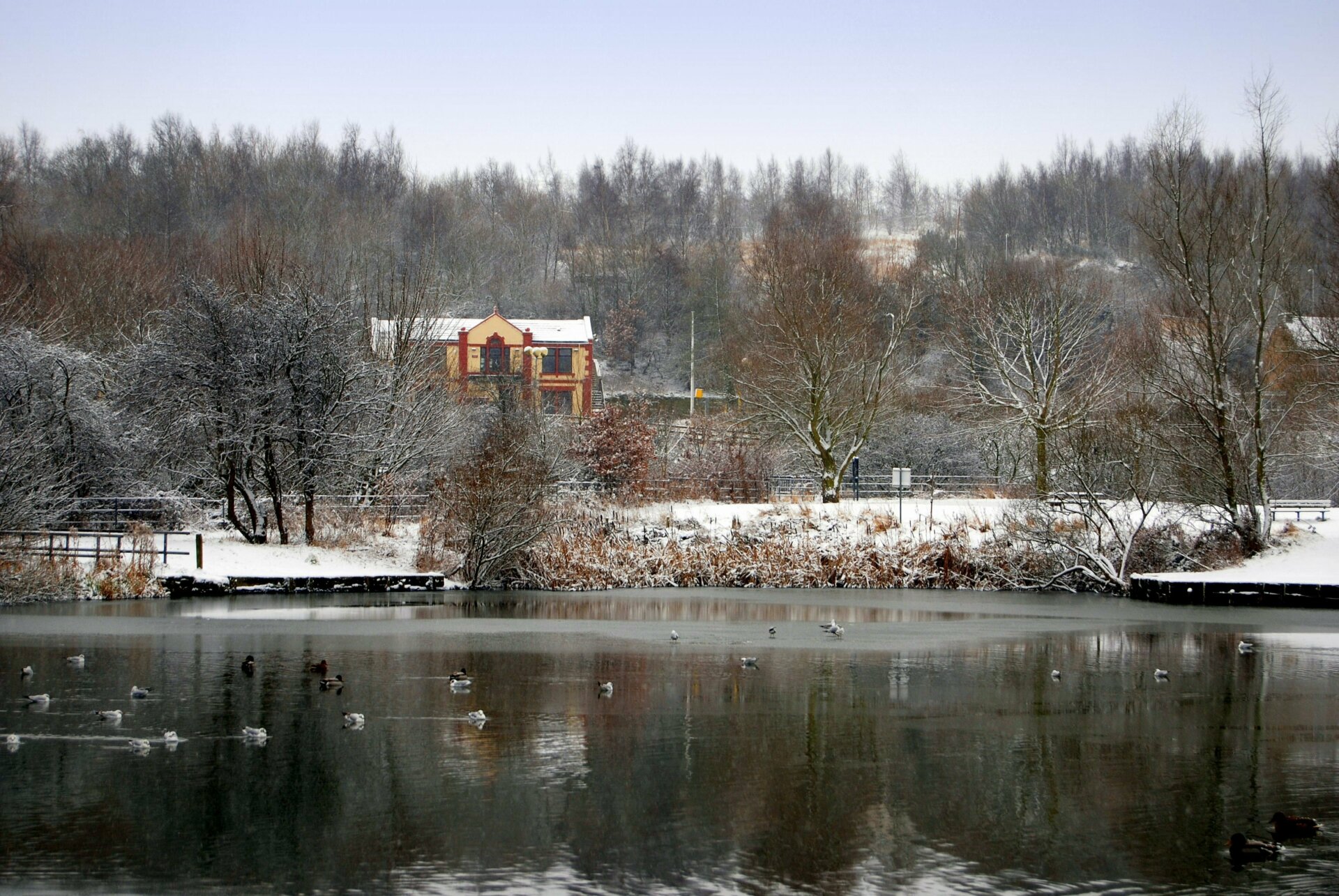 Winter in Dearne Valley Park