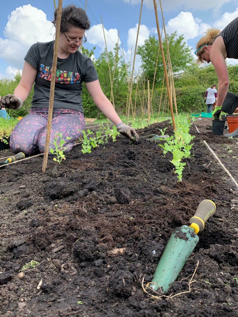 Lorna planting peas food works farm may 2021