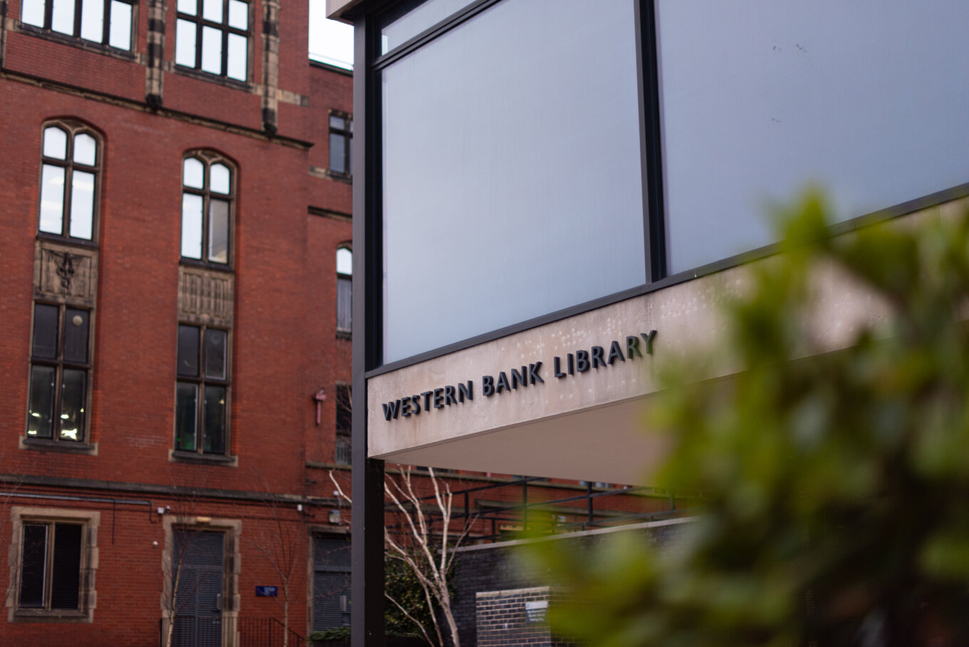 University of sheffield western bank library